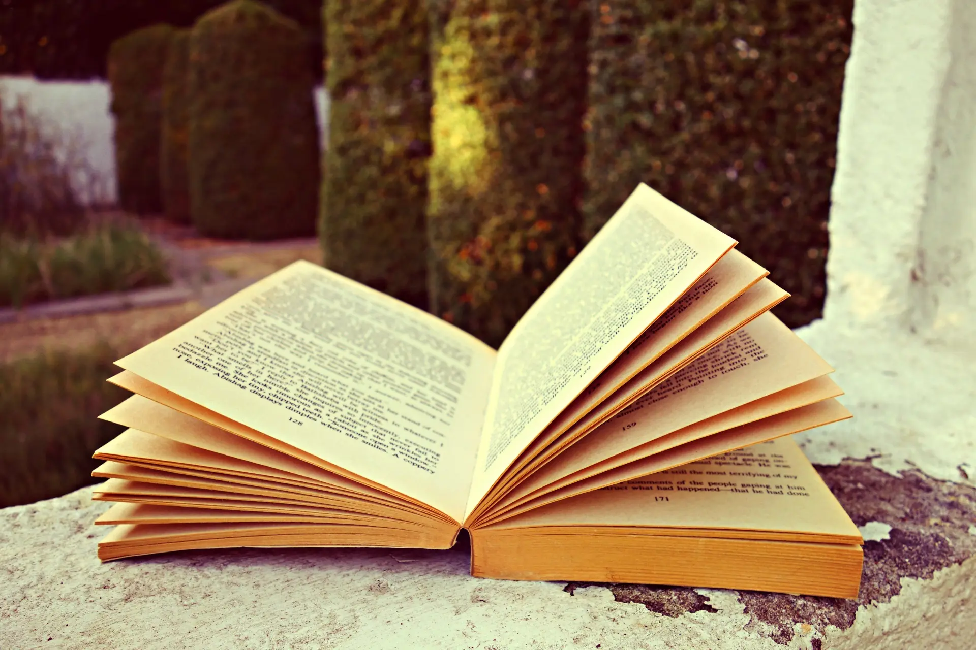 An open book resting on a weathered stone ledge in a garden